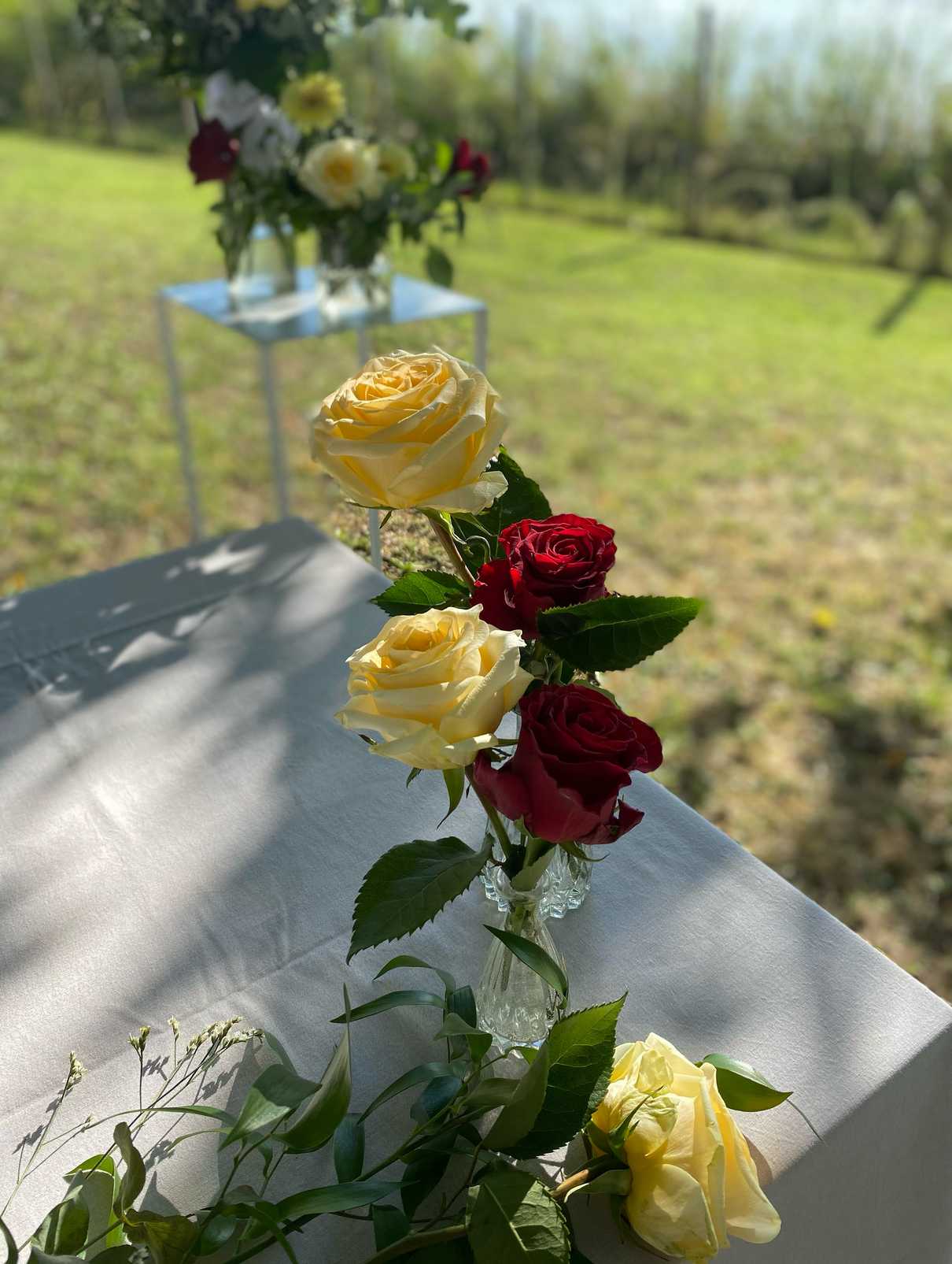 013C8802-A6F1-4C0B-A823-CBBAC8EE244A 2_risultato