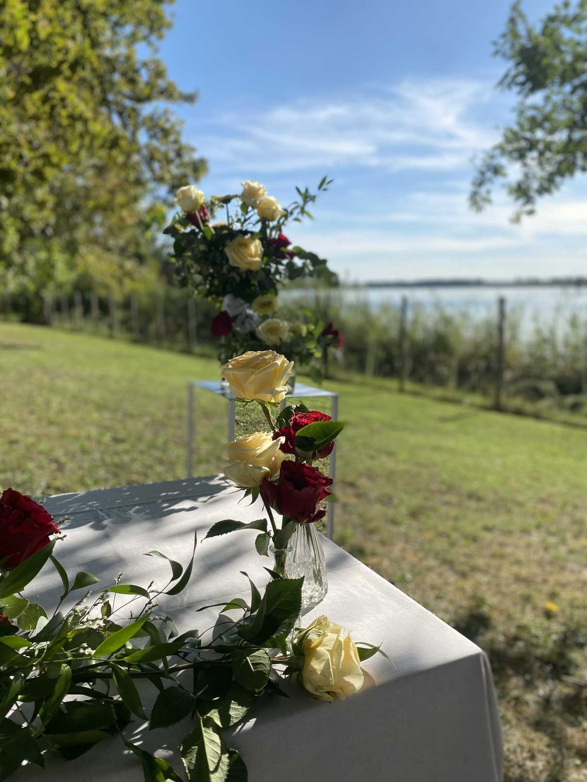 IMG_9594 2_risultato